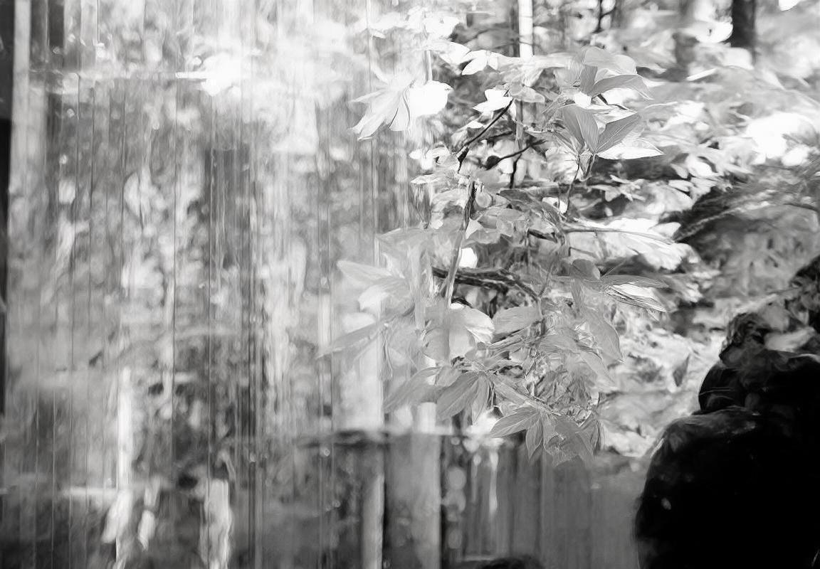 国际队VS非洲队篮球对抗赛深度解析：精彩回顾、球员表现与战术分析